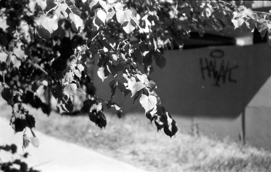 Kodak Retinette 362182 фото