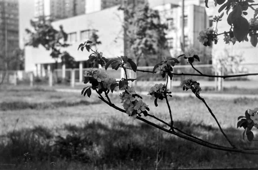 Kodak Retinette 362182 фото