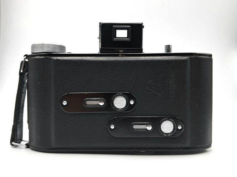Belfoca