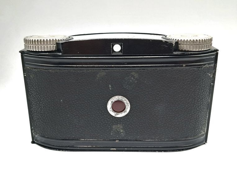 Paxina D.P.P.