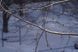 Optomax TelePhoto 1:2.8 f=135mm 284329 фото 9