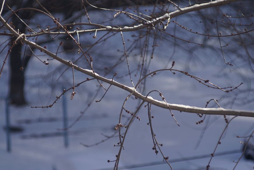 Optomax TelePhoto 1:2.8 f=135mm 284329 фото