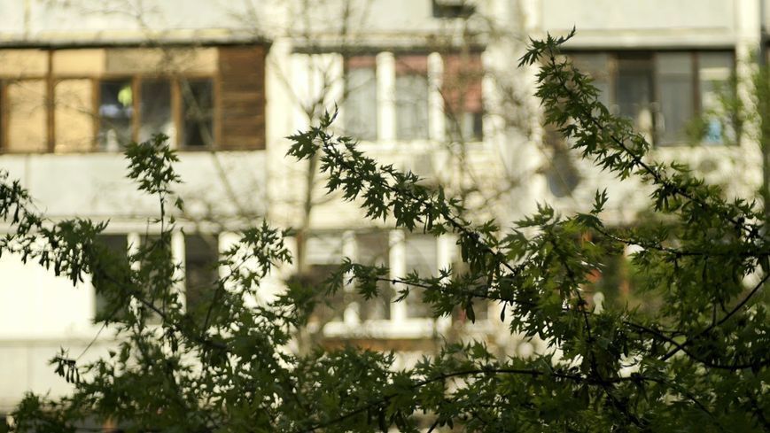 Promura 1:3.5 f=135mm