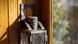 Micro-Nikkor-P Auto 1:3.5 f=55mm 679580 фото 10