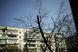 Schneider-Kreuznach Curtagon 1:2.8/35 10469471 фото 17