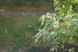 Steinheil-Cassarit 4.5/135mm 2294866 фото 8