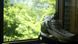 Carl Zeiss Jena Flektogon 2.8/35 T 4236743 фото 12