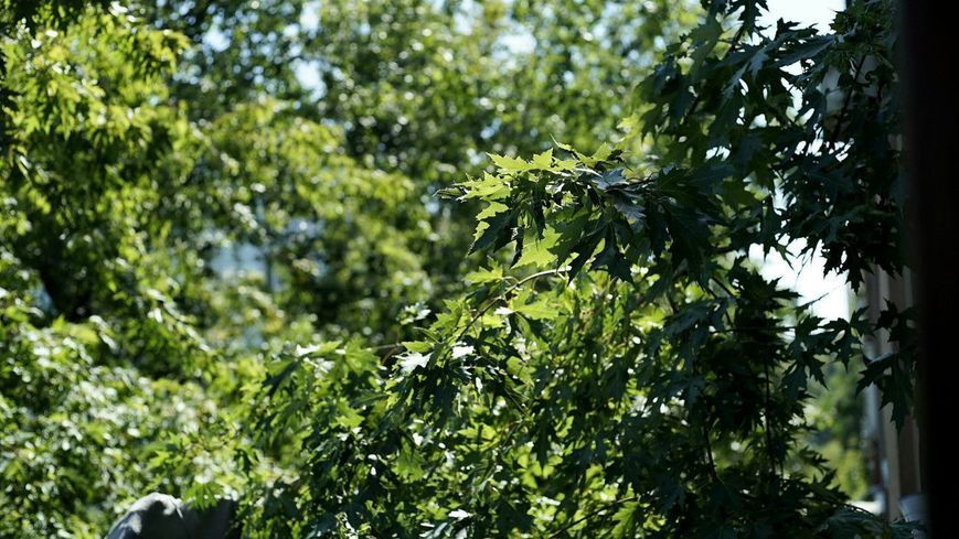 Minolta MD 50mm 1:2 166342 фото