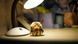Canon Lens FD 50mm 1:1.2