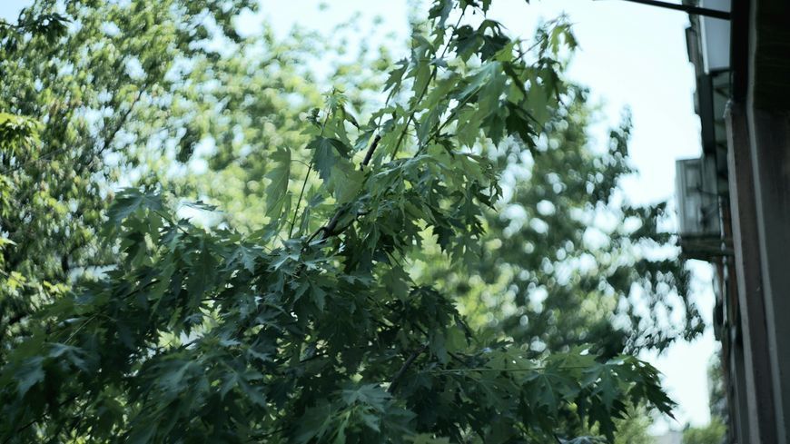 Helios-44M-4